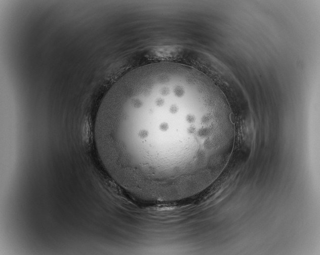 X0000096140651200801181134