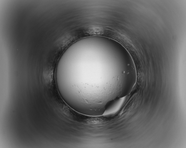 X0000096140652200801181134