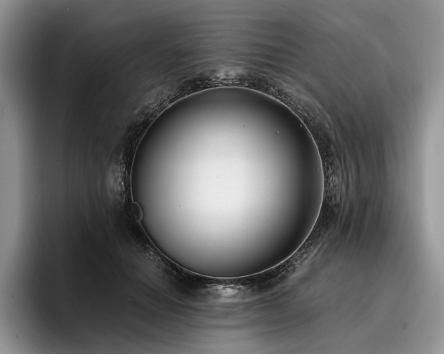 X0000096140654200801181134