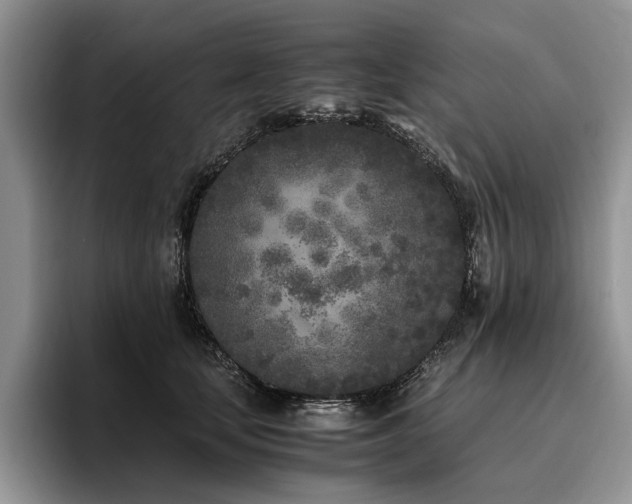 X0000096140659200801181134