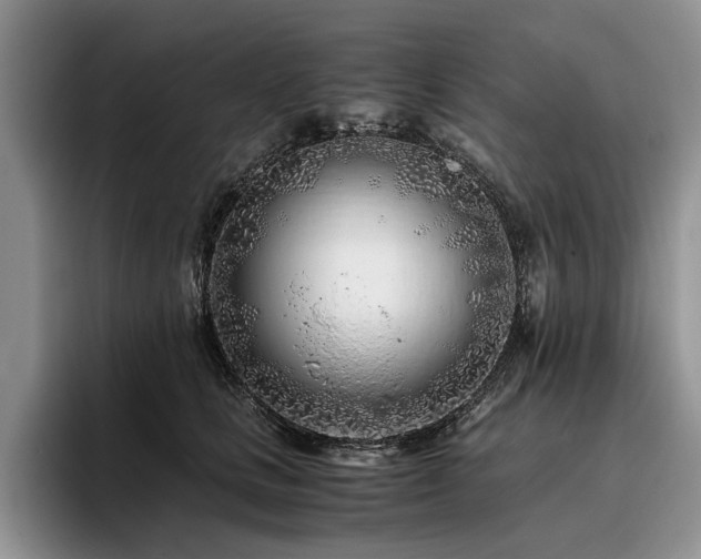 X0000096140661200801181134