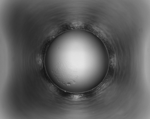 X0000096140662200801181134
