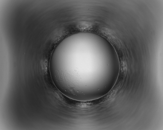 X0000096140664200801181134