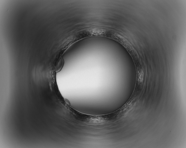 X0000096140666200801181134
