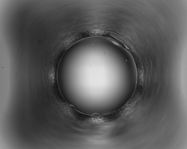 X0000096140668200801181134