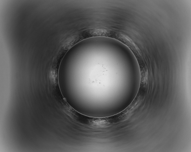 X0000096140669200801181134