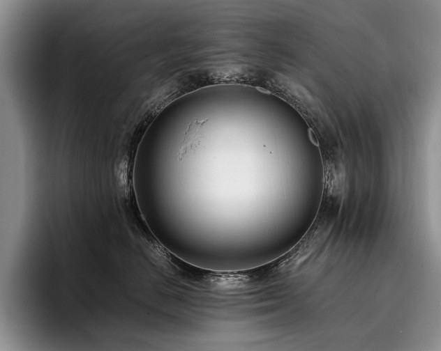 X0000096140670200801181134