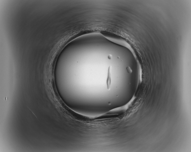 X0000096140673200801181133