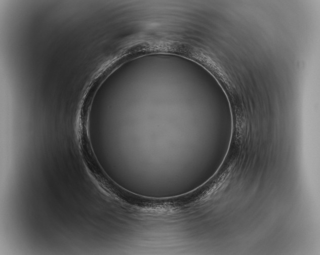 X0000096140674200801181133