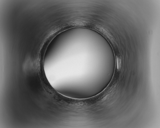 X0000096140675200801181133