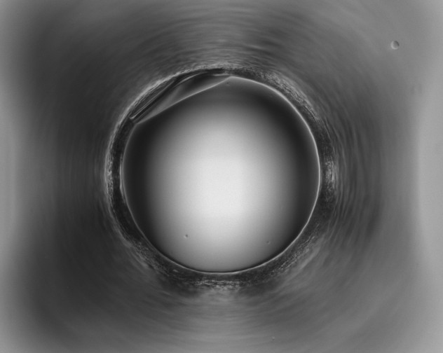 X0000096140676200801181133
