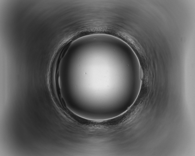 X0000096140677200801181133