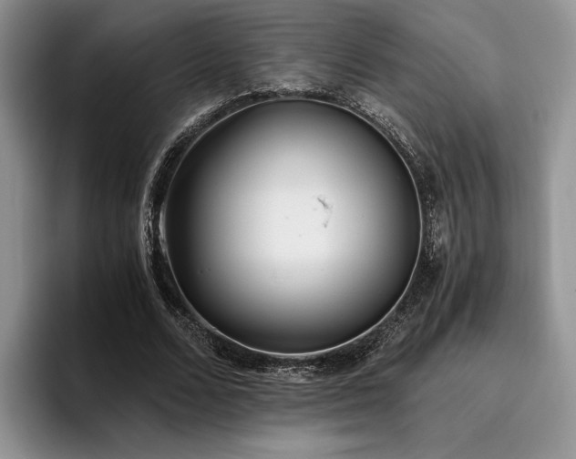 X0000096140680200801181133