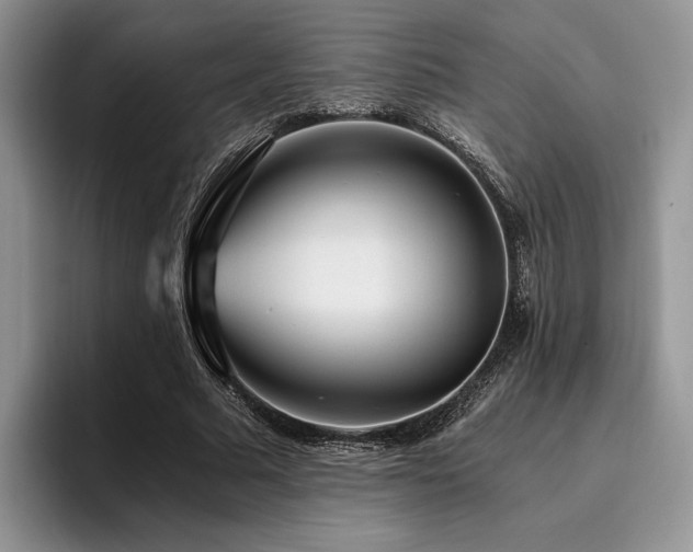 X0000096140681200801181133