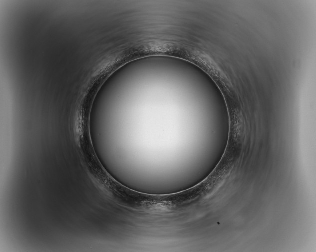 X0000096140683200801181133