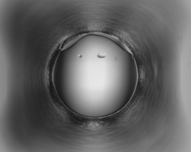X0000096140684200801181133