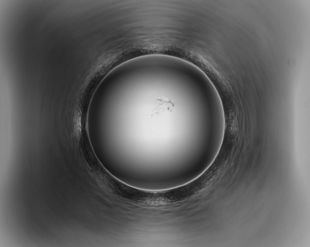 X0000096140685200801181133