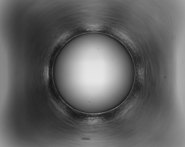 X0000096140686200801181133