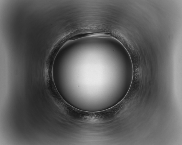 X0000096140688200801181133