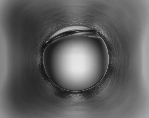 X0000096140689200801181133