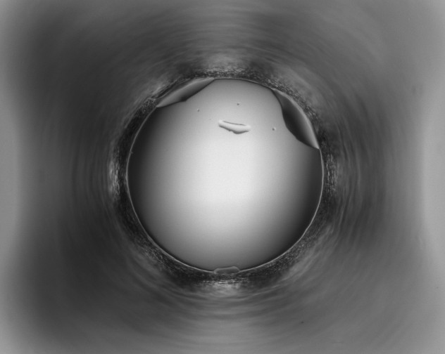 X0000096140692200801181133