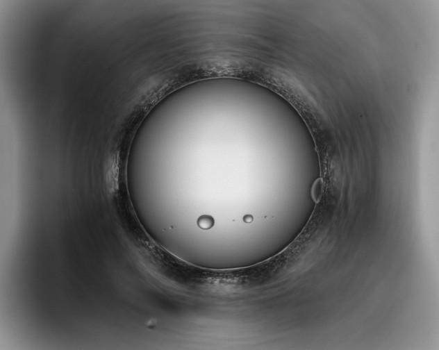 X0000096140694200801181133
