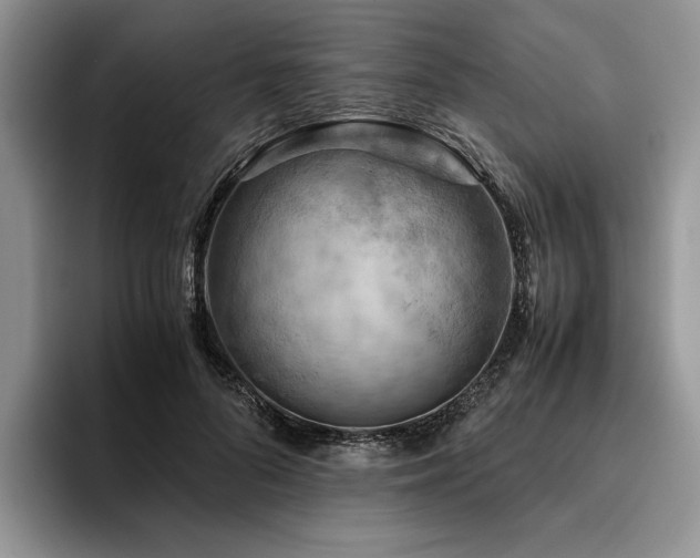 X0000096140696200801181133