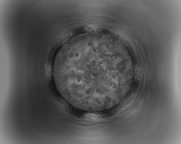 X0000096140699200801181133