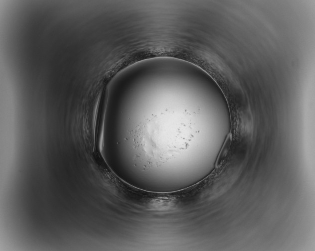 X0000096140700200801181133