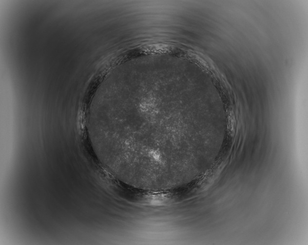 X0000096140701200801181133