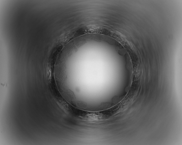 X0000096140703200801181133