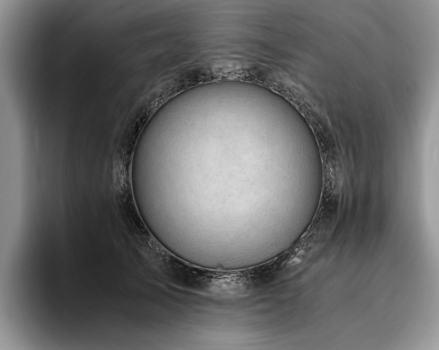 X0000096140705200801181133