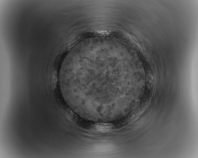 X0000096140707200801181133