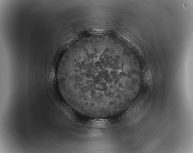 X0000096140711200801181133