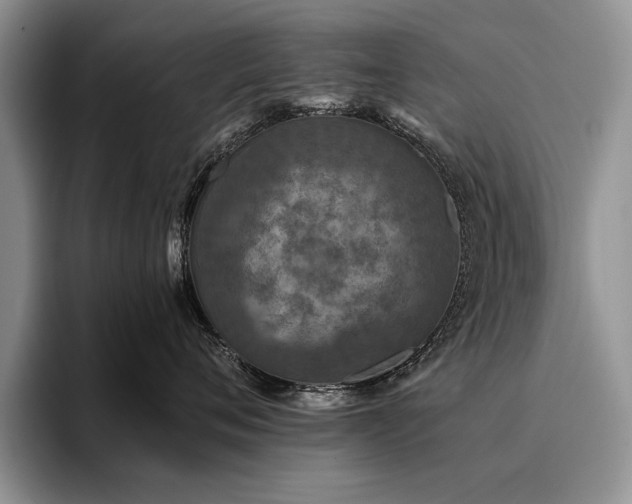 X0000096140720200801181133