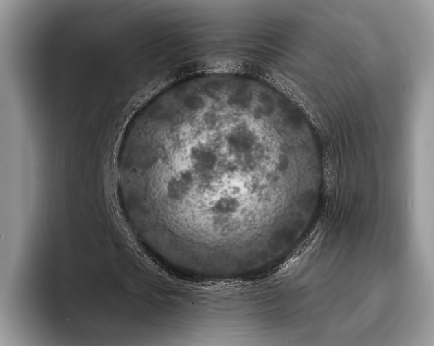 X0000096140721200801181132