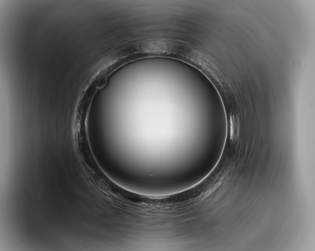 X0000096140723200801181132