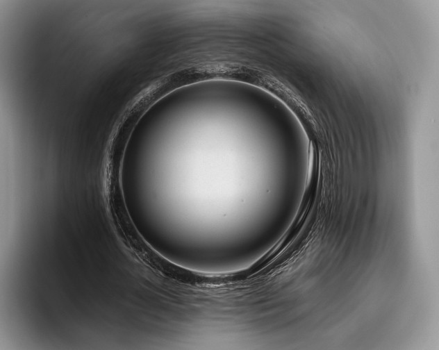 X0000096140724200801181132