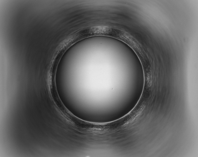 X0000096140725200801181132