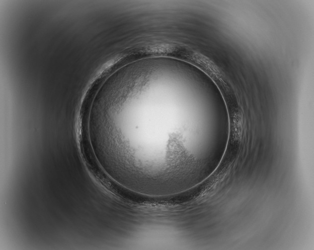 X0000096140726200801181132