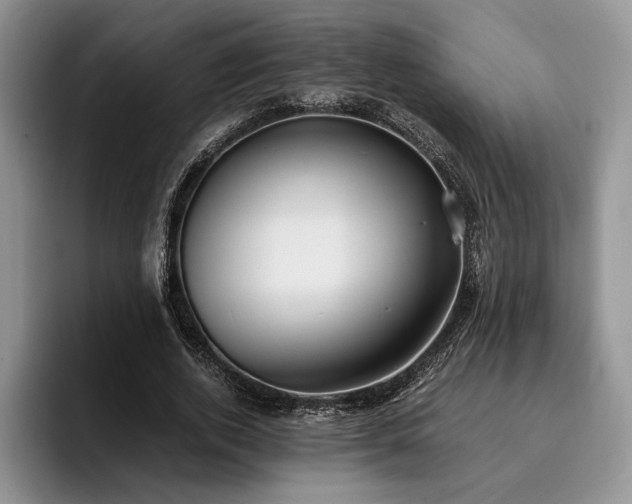 X0000096140728200801181132