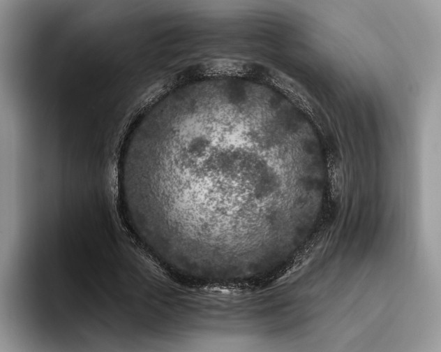 X0000096140729200801181132