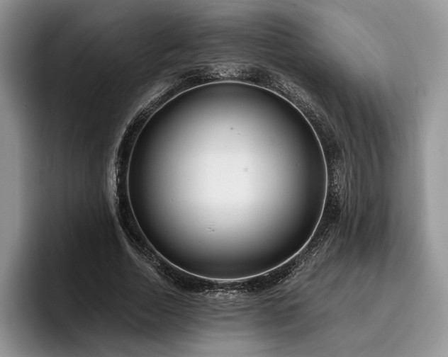 X0000096140730200801181132