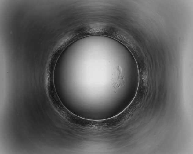 X0000096140732200801181132