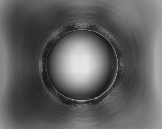 X0000096140734200801181132