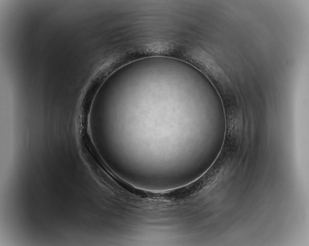 X0000096140736200801181132