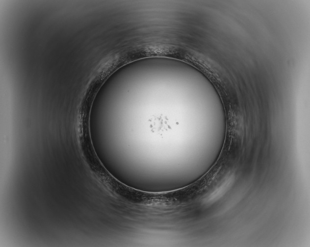 X0000096140738200801181132