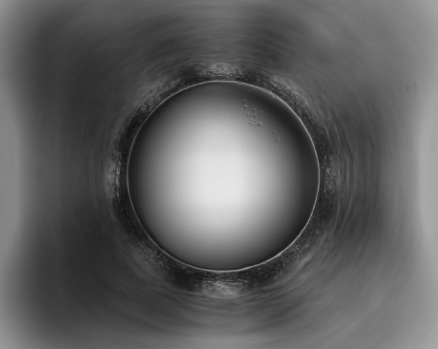 X0000096140739200801181132