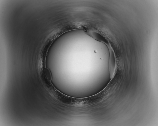 X0000096140740200801181132