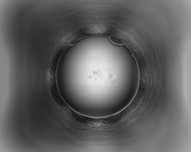 X0000096140743200801181132